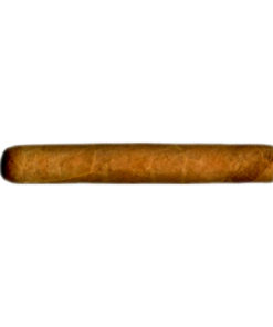 Tompus Bundle Selection Robusto
